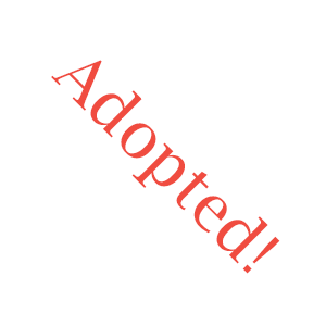 Adopted